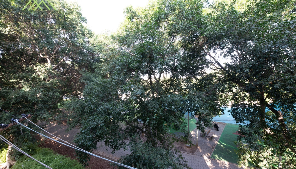 WhatsApp_Image_2025-11-19_at_09.20.30_(4)