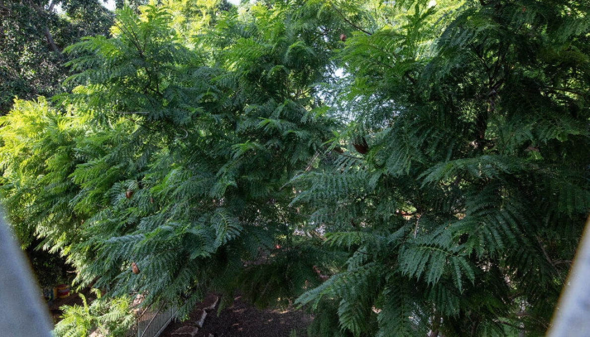 WhatsApp_Image_2025-11-19_at_09.21.22_(1)