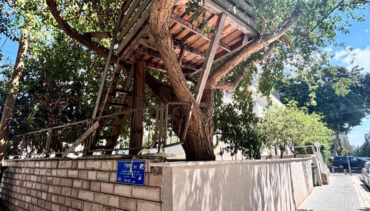 WhatsApp_Image_2026-01-21_at_09.36.20_(2)