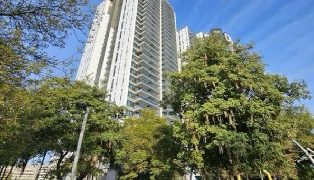 WhatsApp_Image_2026-03-10_at_11.45.37