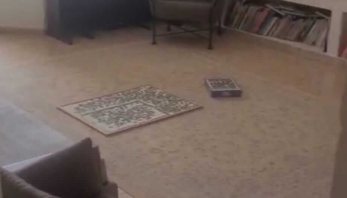 WhatsApp_Image_2026-03-16_at_11.35.57