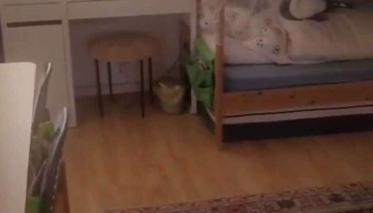 WhatsApp_Image_2026-03-16_at_11.35.57_(3)