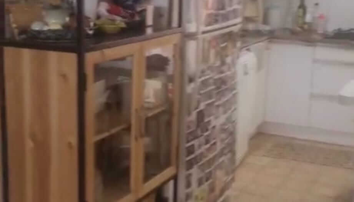 WhatsApp_Image_2026-03-16_at_11.35.58