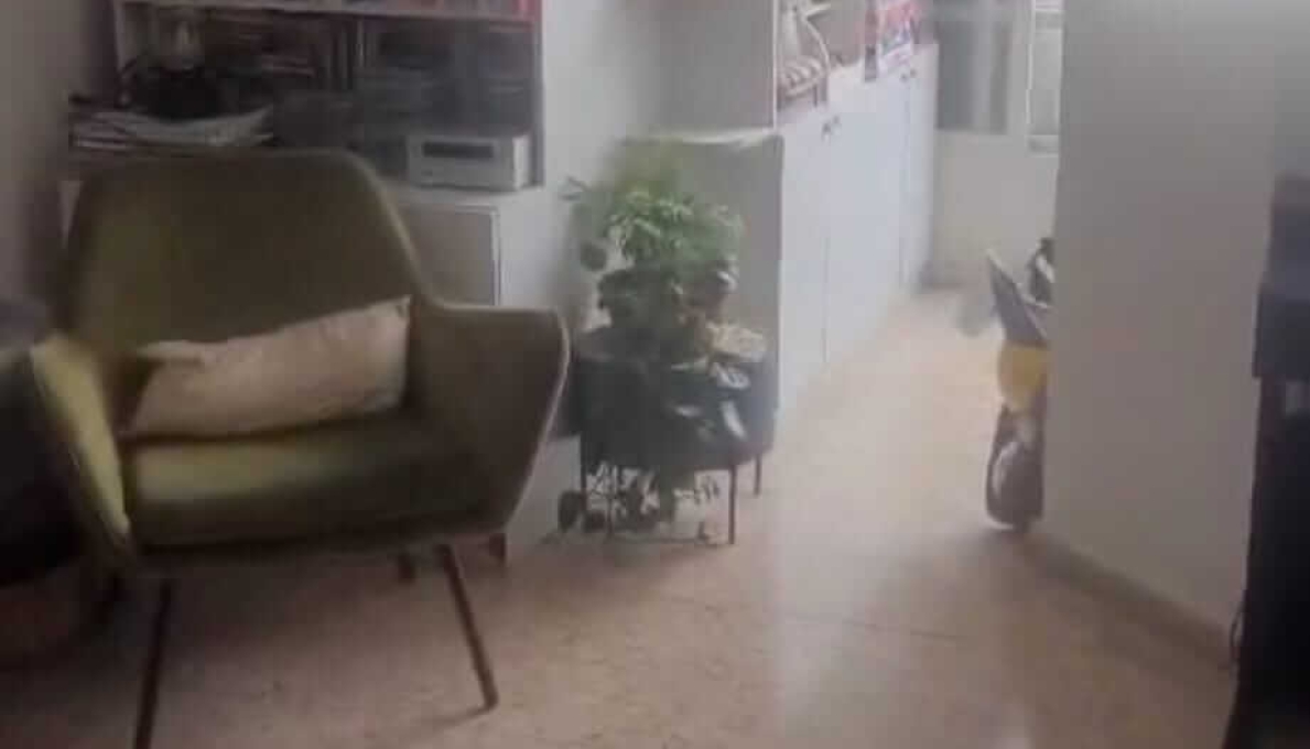 WhatsApp_Image_2026-03-16_at_11.35.58_(2)