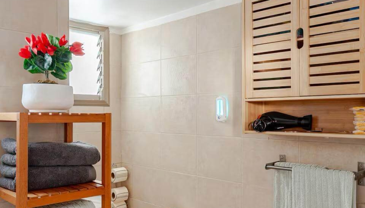 WhatsApp_Image_2026-03-30_at_11.29.37_(2)