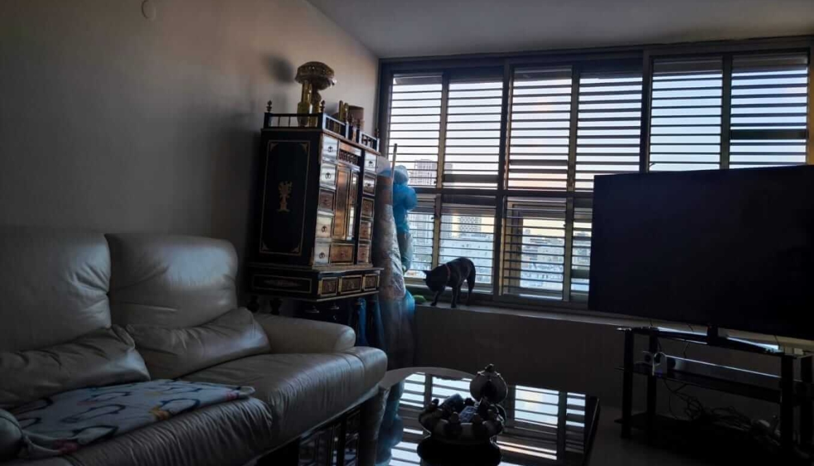 תמונה_של_WhatsApp‏_2025-07-29_בשעה_12.07.07_34454521