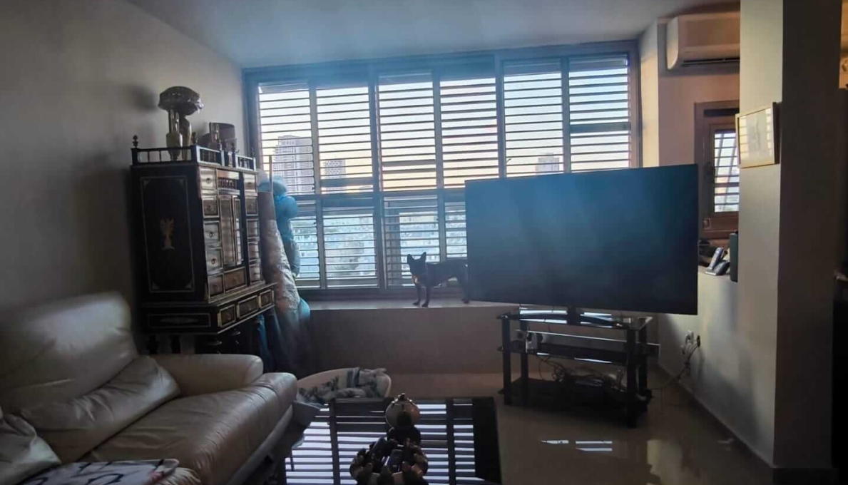 תמונה_של_WhatsApp‏_2025-07-29_בשעה_12.07.08_d9d2c27b