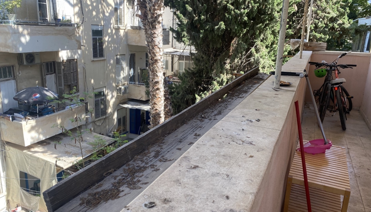 תמונה_של_WhatsApp‏_2025-08-04_בשעה_09.46.05_6bbb4b73