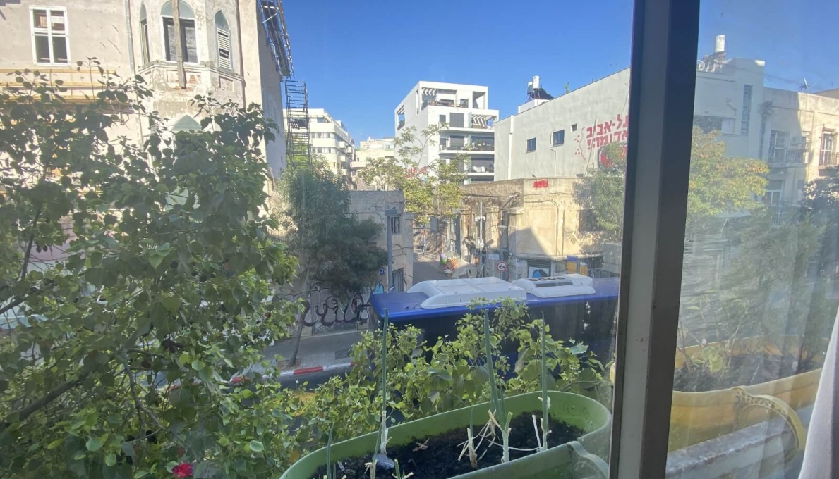תמונה_של_WhatsApp‏_2025-08-04_בשעה_09.47.20_c608aedb