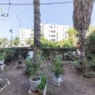 סומקן תל אביב  - 