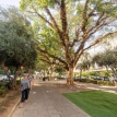 בן גוריון 12 תל אביב - 