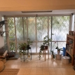 השופטים 9 תל אביב - 