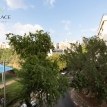 קרית שמונה חולון  - 