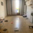 רחבעם זאבי חולון - 